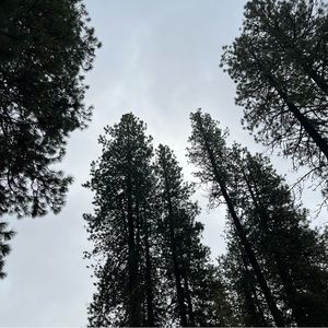 Meet your Posher, Natasha